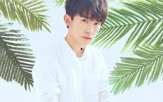 吃瓜直播间爆料娱乐圈易烊千玺,吃瓜直播间独家爆料揭秘 第1张 吃瓜直播间爆料娱乐圈易烊千玺,吃瓜直播间独家爆料揭秘 第1张